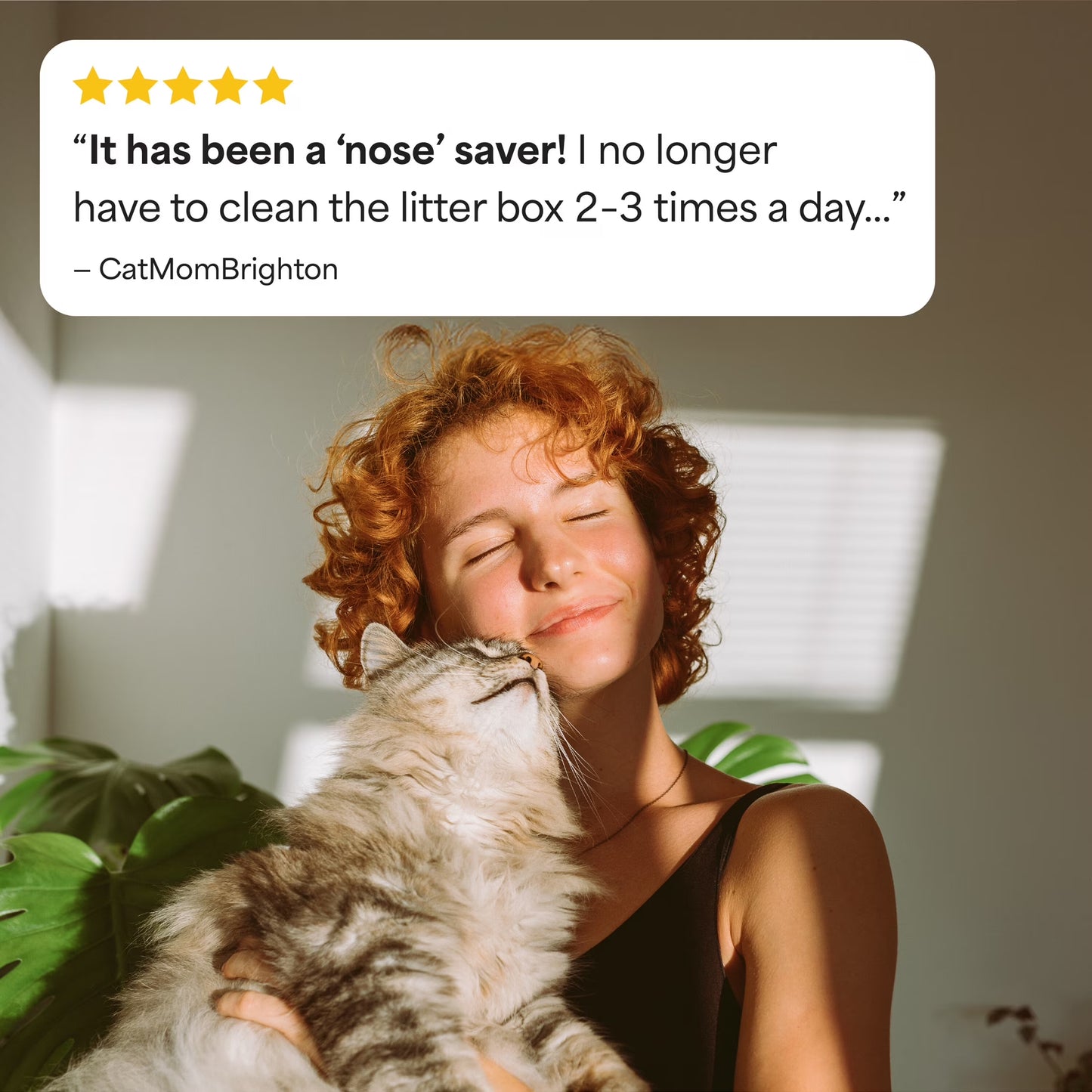 Simply Unscented Clumping Cat Litter, 14 Lbs
